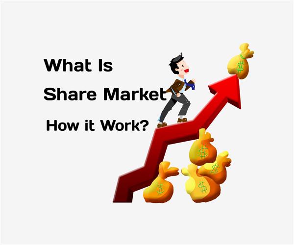 What is share market