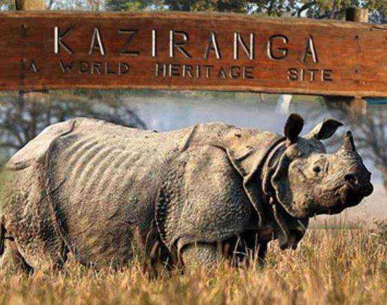 Explain about Kaziranga National Park? - MindStick Q&A