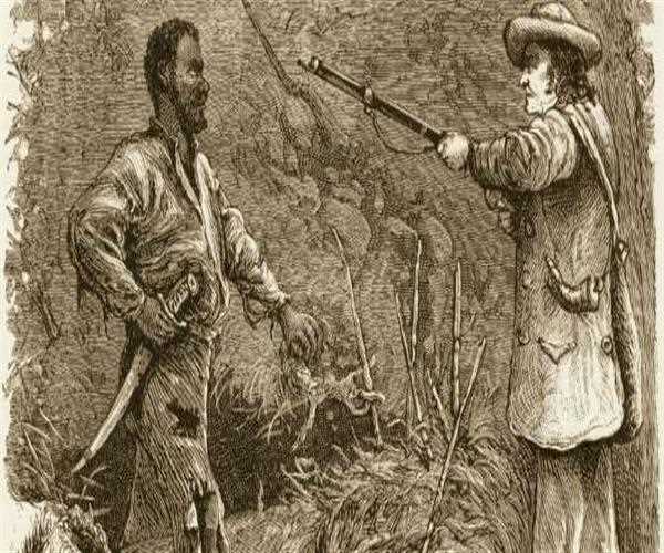 What is Nat Turner