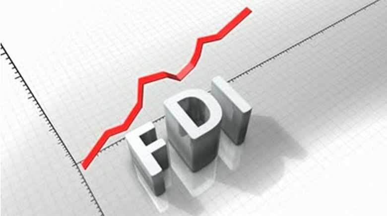 What are the advantages of FDI in India?