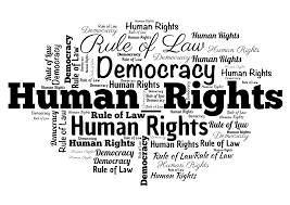 What is rule of law and human rights?