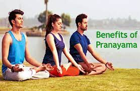 Importance of Pranayam in human life?