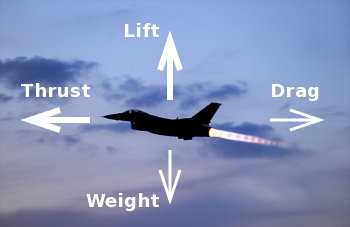 On which principle does aircraft fly?