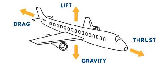On which principle does aircraft fly?