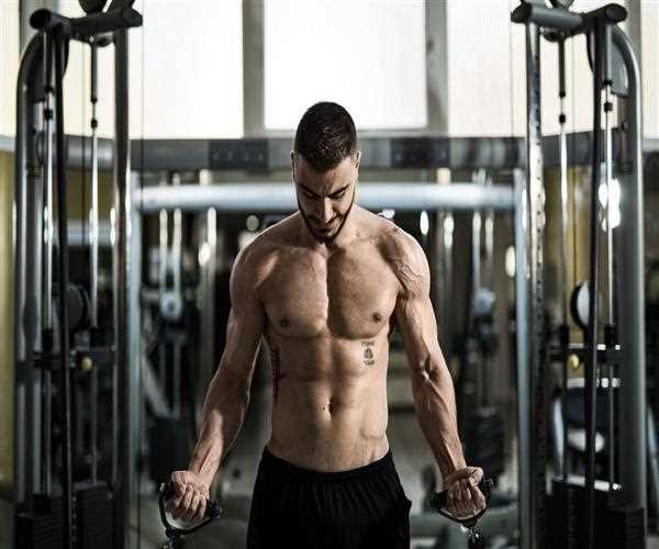 How protein induces the strength of our muscles ?
