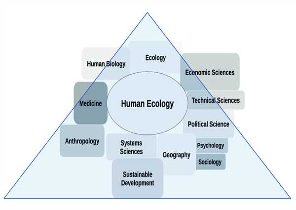 What is the study of humans and their environment called?