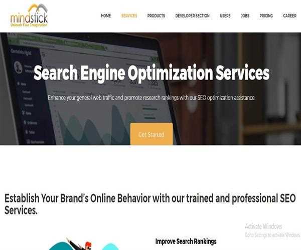 Does MindStick develops and maintain Search Engine Optimization services?