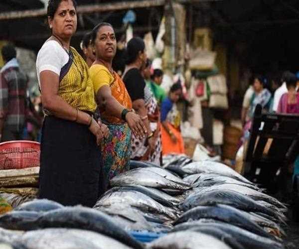 What is the position of Indian Fisheries in global market?