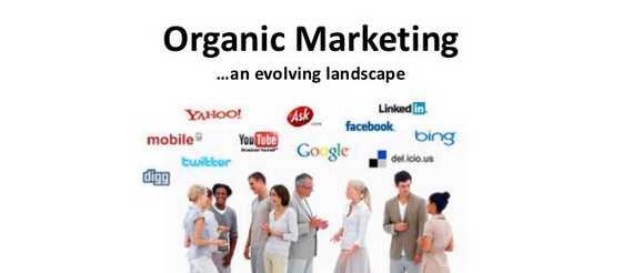 What is organic marketing in SEO and Social Media?